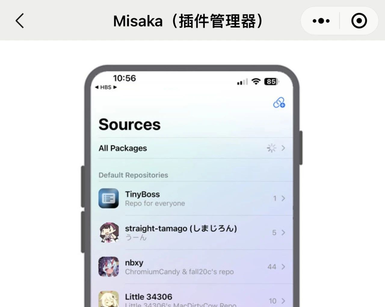 iOS 16.1.2 Misaka 管理器，可以安装插件