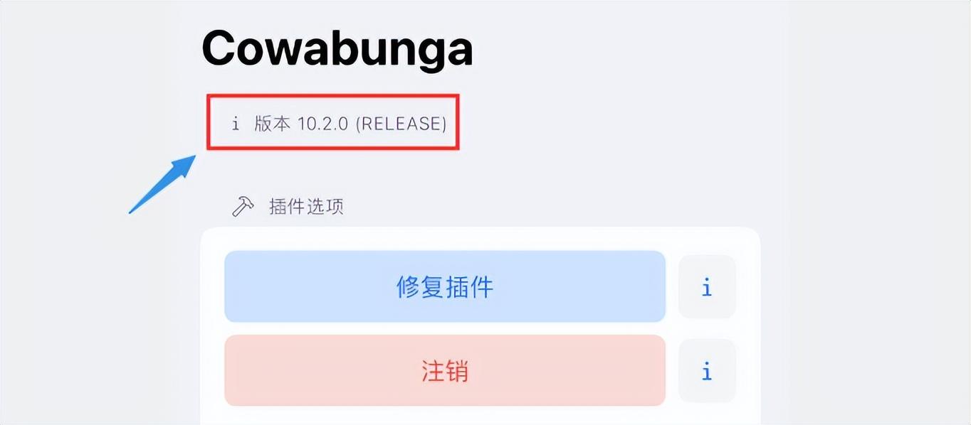 iOS16.1.2Cowabunga工具，新增JIT功能