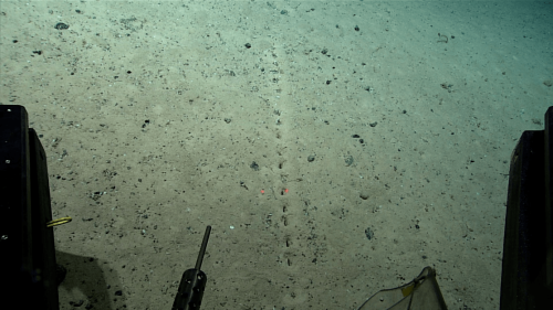 大西洋海底发现神秘孔洞 网友：外星人？还是古文明遗址？（大西洋海底巨洞）