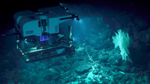 大西洋海底发现神秘孔洞 网友：外星人？还是古文明遗址？（大西洋海底巨洞）