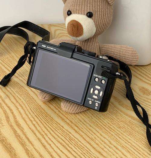 最新专业数码相机（数码相机新款）