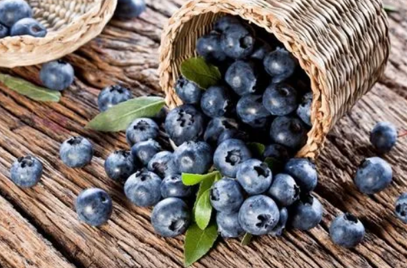 蓝莓直接吃和榨汁吃哪个吸收好2