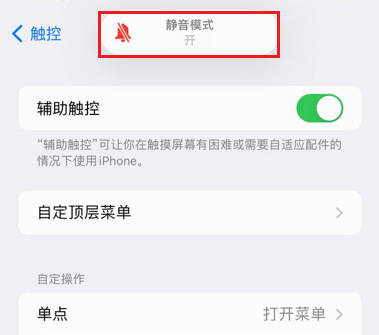 iPhone13静音模式怎么开(10)