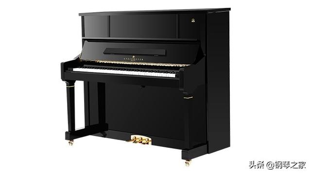 斯坦梅尔ts300纪念款钢琴（德国斯坦梅尔钢琴TS-300高端钢琴领导者）(2)