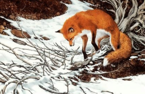 民间故事：猎人捕捉狐狸，反遭狐狸猎杀，三爷：自找的（猎人抓狐狸的故事）