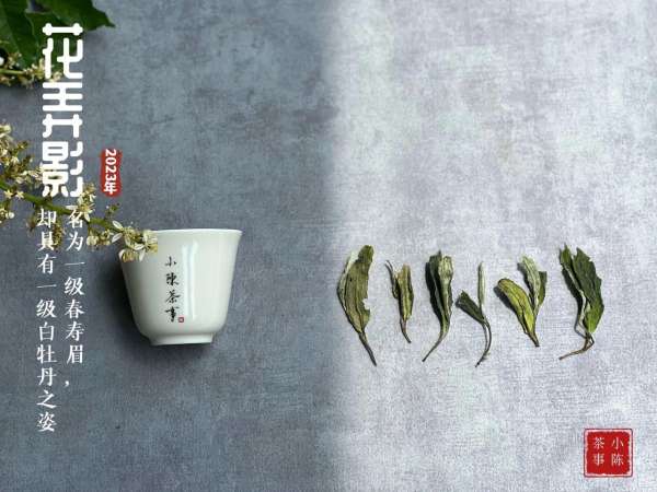 白茶的种类主分为四类（白茶的种类主分为四类等级）