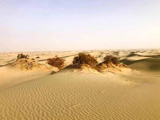 中国最大的沙漠（中国最大的沙漠是塔克拉玛干沙漠）