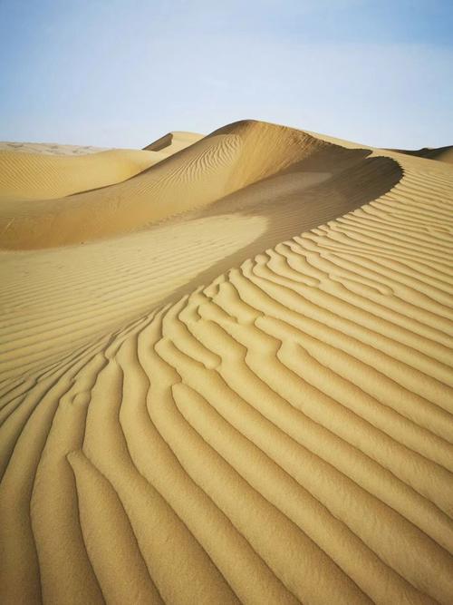 中国最大的沙漠（中国最大的沙漠是塔克拉玛干沙漠）