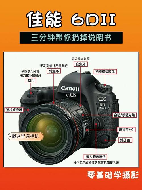 canon数码相机lsus（Canon数码相机怎么用）