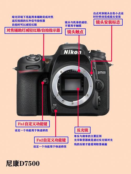 什么是单反相机什么是数码相机（单反相机的名词解释）