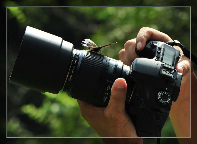相机普通镜头如何拍摄微距照片？新手必读！