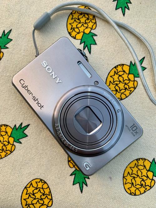 探索更多可能性！DSCWX200数码相机带给您无限创作灵感