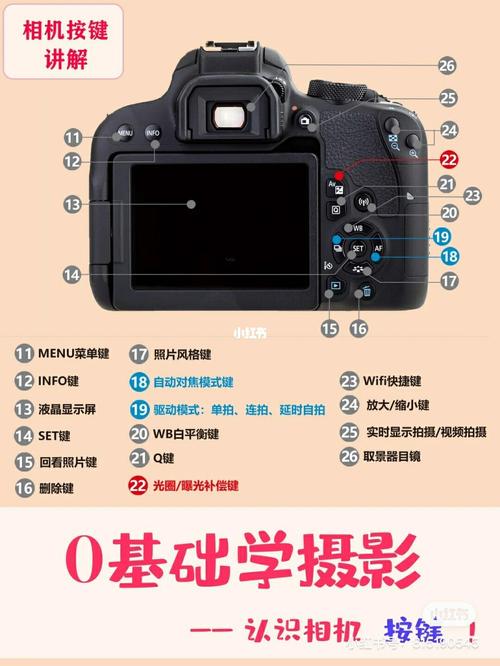 数码相机拍摄键的作用是什么？解析数码相机拍摄键功能