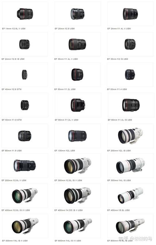 单反相机的各种镜头（单反镜头有哪几种）