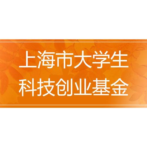 上海大学生科技创业基金如何申请（有哪些条件和流程）