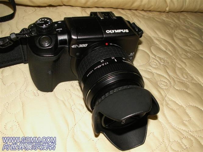 奥林巴斯数码相机e300（奥林巴斯数码相机e300怎么样）